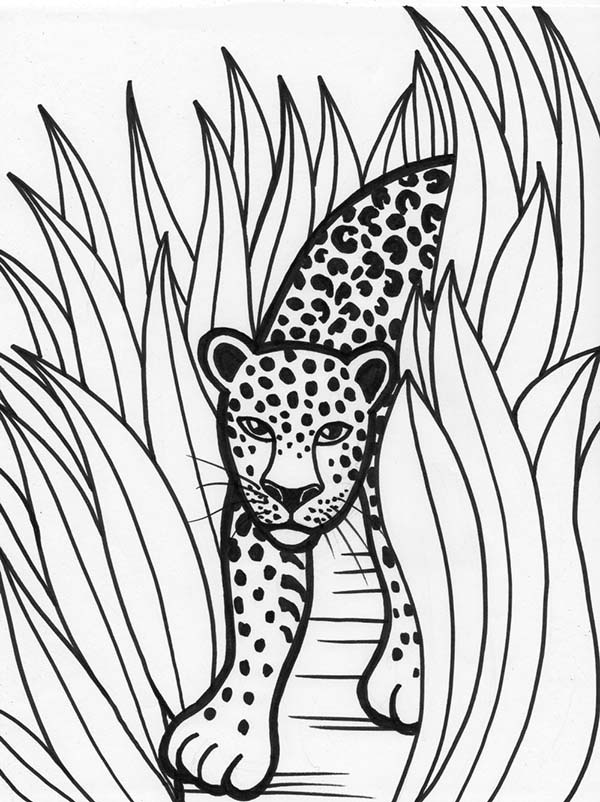 600x802 Leopard Rainforest Predator Coloring Page