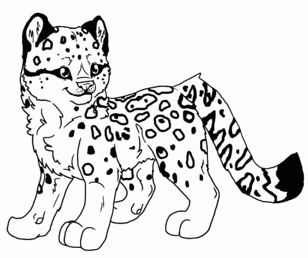 1024x858 Snow Leopard Coloring Page Free Printable Pages Throughout Olegratiy