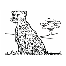 230x230 Top 25 Free Printable Leopard Coloring Pages Online