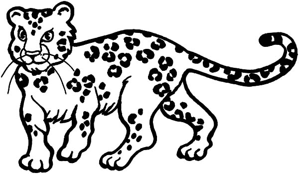 600x349 Young Leopard Coloring Pages Batch Coloring