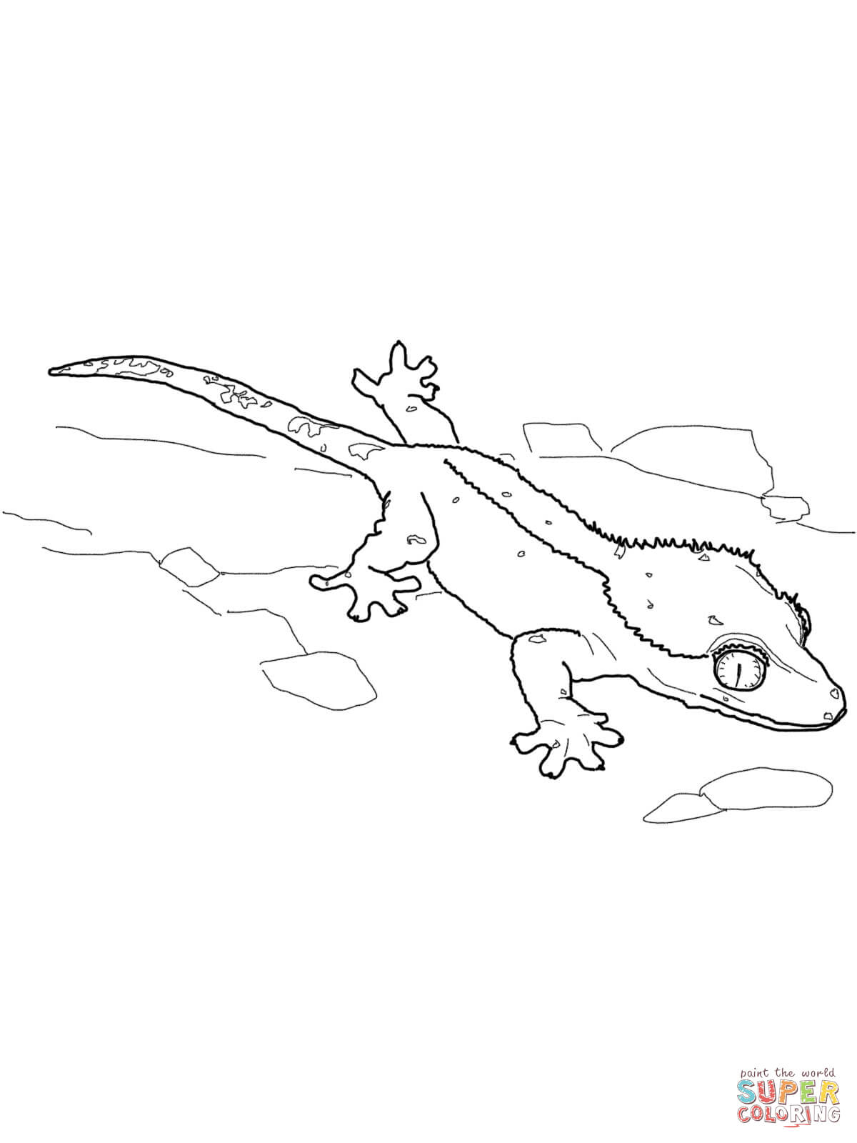 Leopard Gecko Coloring Pages at GetColorings.com | Free printable ...