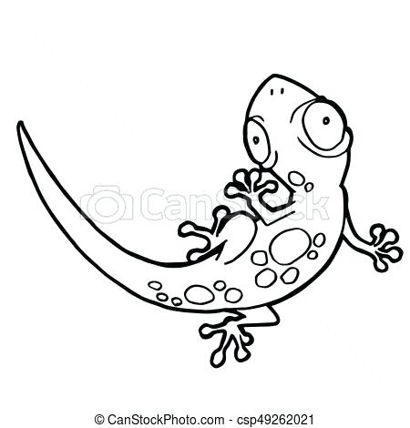 450x470 Gecko Coloring Page Gecko Coloring Pages X Leopard Sheets Leopard