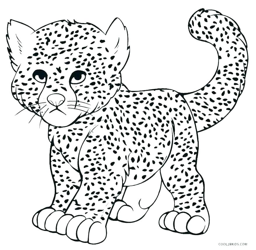 Leopard Print Coloring Pages at GetColorings.com | Free printable ...