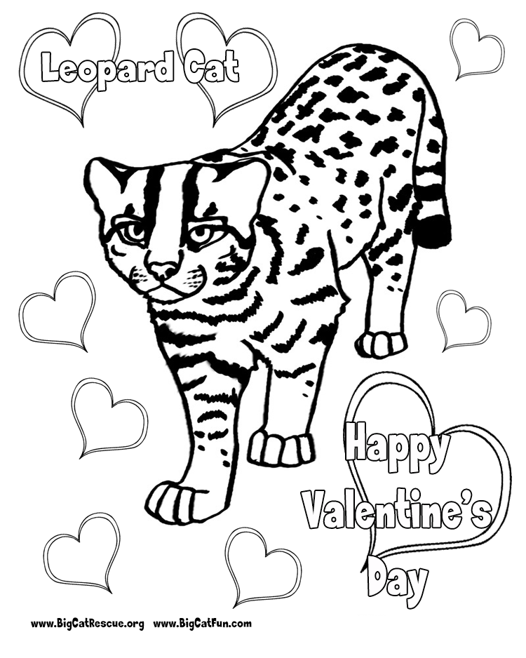 Leopard Coloring Pages To Download And Print For Free 750x938 Leopard Coloring Pages To Download And Print For Free