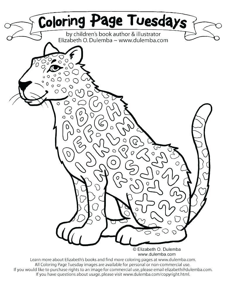 Seal Coloring Pages 773x1000 Seal Coloring Pages