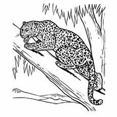 Top 25 Free Printable Leopard Coloring Pages Online 230x230 Top 25 Free Printable Leopard Coloring Pages Online