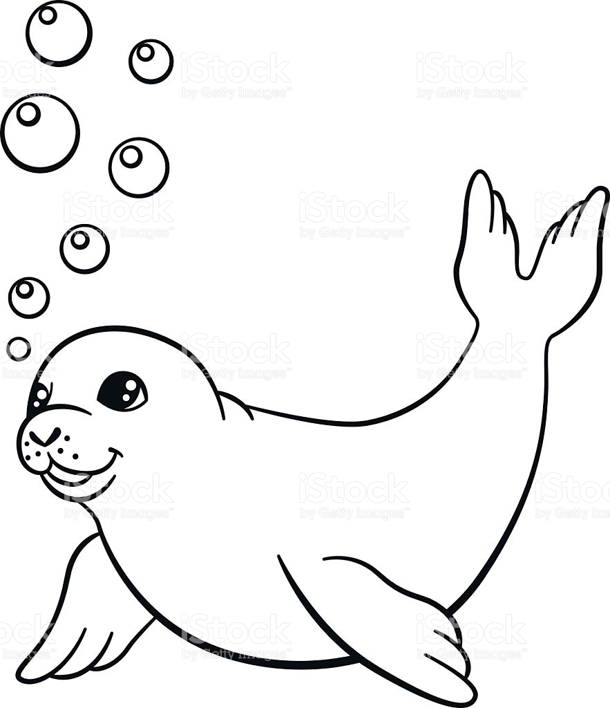 Seal Coloring Pages 883x1024 Seal Coloring Pages