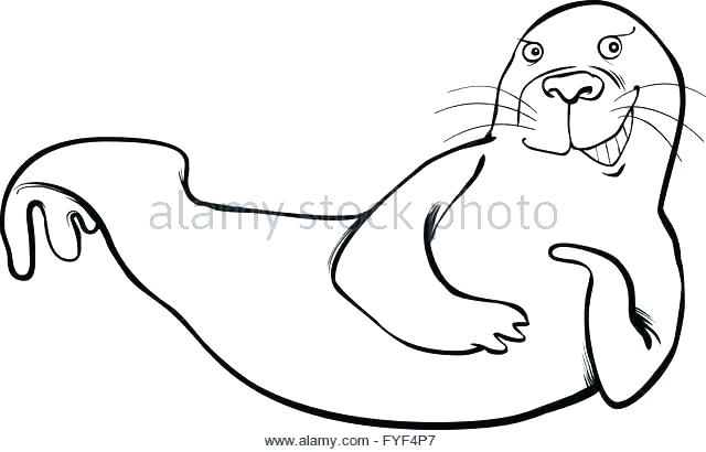 Seal Coloring Pages Baby Harp Seal And His Mother Coloring Page 640x410 Seal Coloring Pages Baby Harp Seal And His Mother Coloring Page