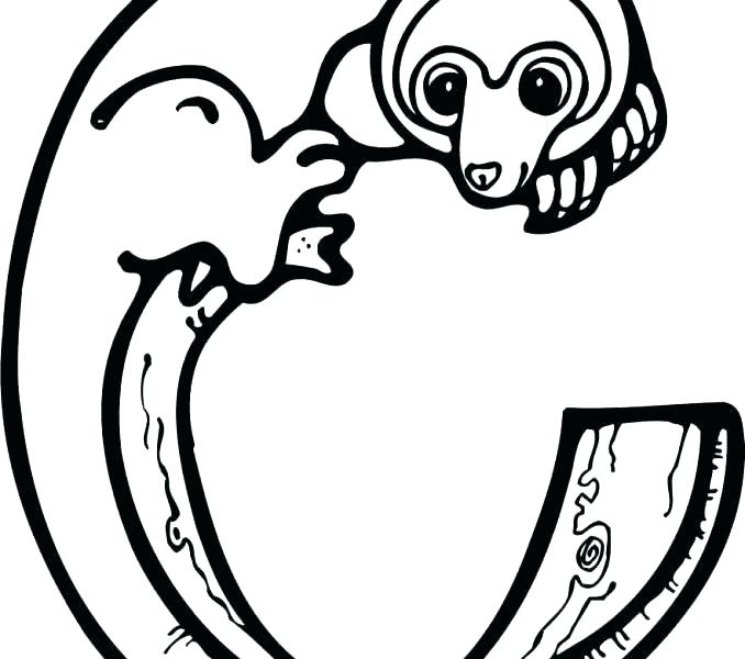 F Coloring Pages Letter F Coloring Pages Free Letter F Is 678x600 F Coloring Pages Letter F Coloring Pages Free Letter F Is