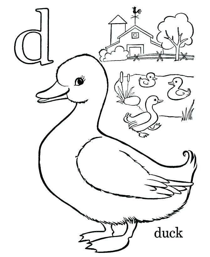 Letter E Coloring Page Preschool Alphabet Coloring Pages Coloring 670x820 Letter E Coloring Page Preschool Alphabet Coloring Pages Coloring