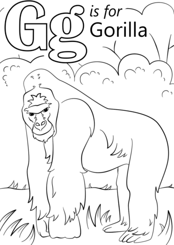 Letter G Is For Gorilla Coloring Page From Letter G Category 340x480 Letter G Is For Gorilla Coloring Page From Letter G Category