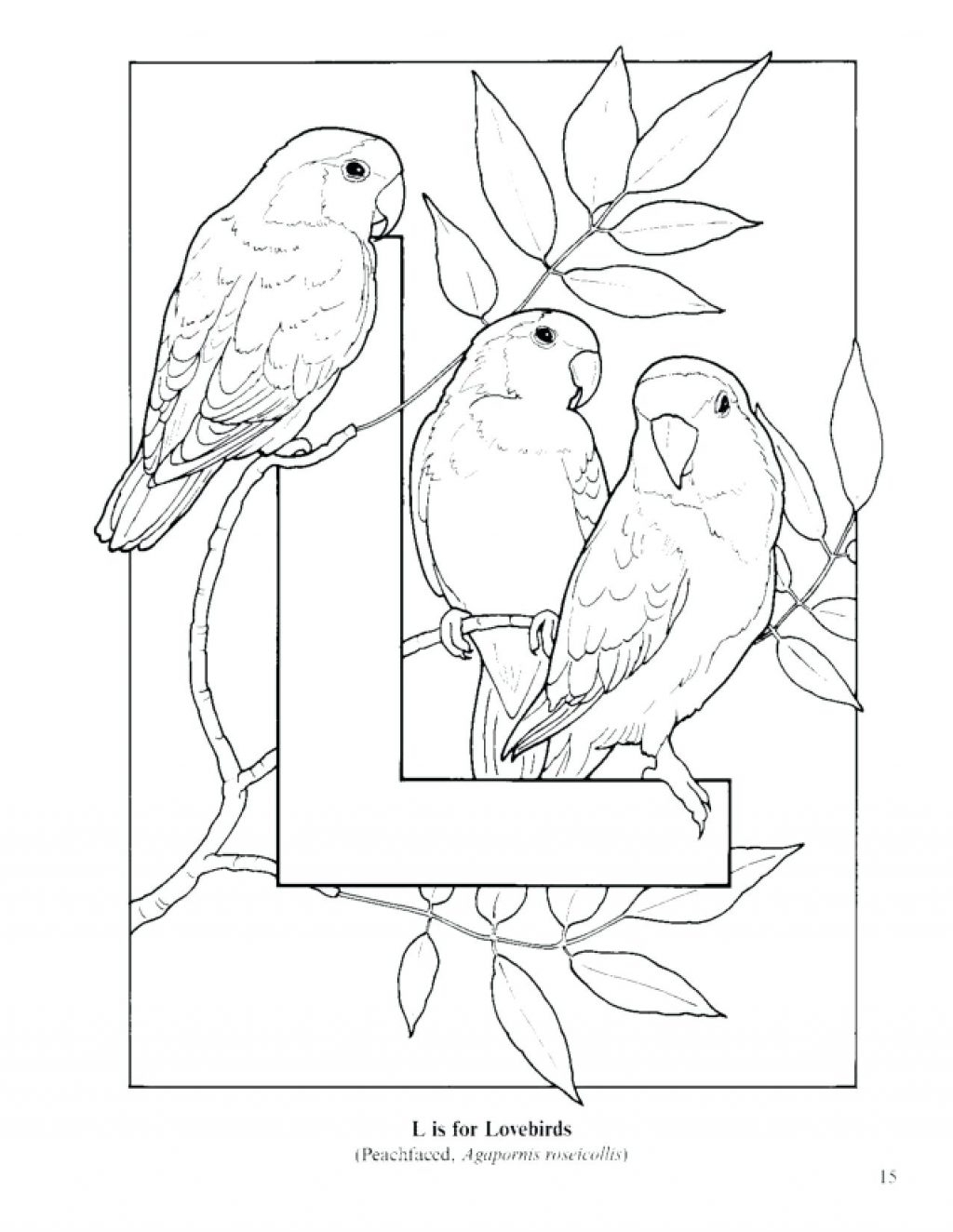Best Of Coloring The Letter L Coloring Pages Free Coloring Pages 1024x1324 Best Of Coloring The Letter L Coloring Pages Free Coloring Pages