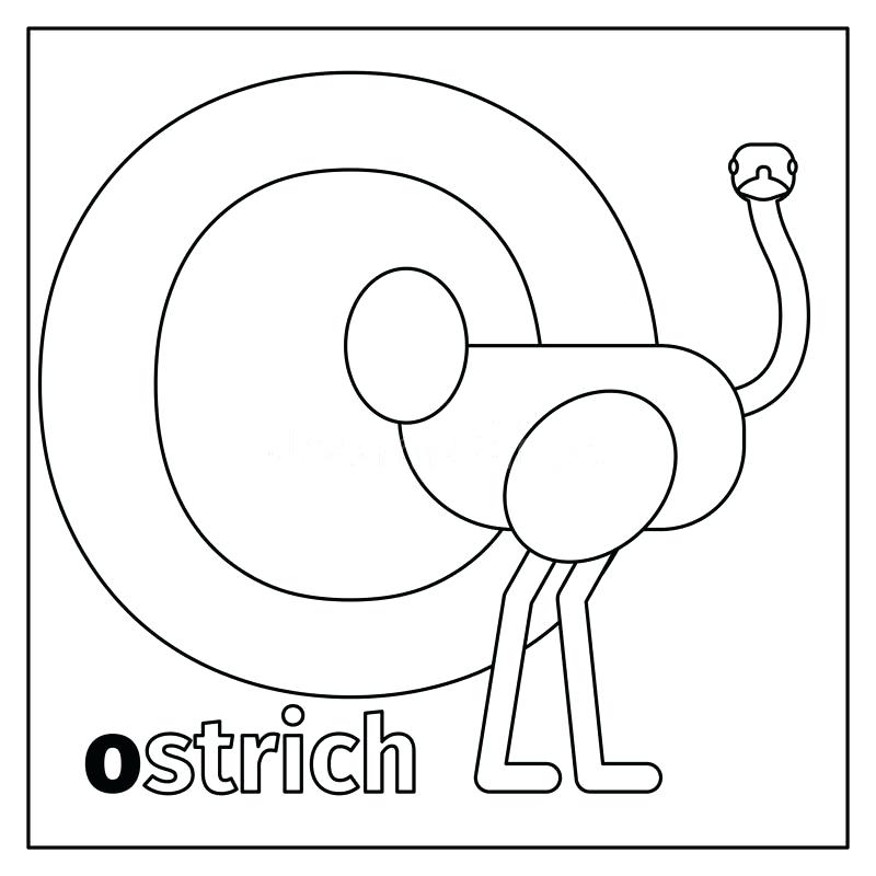 800x800 Letter O Coloring Download Ostrich Letter O Coloring Page Stock
