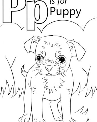 Preschool Coloring Pages Letter P 340x425 Preschool Coloring Pages Letter P