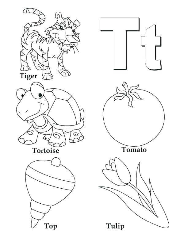 600x776 Things With Letter T