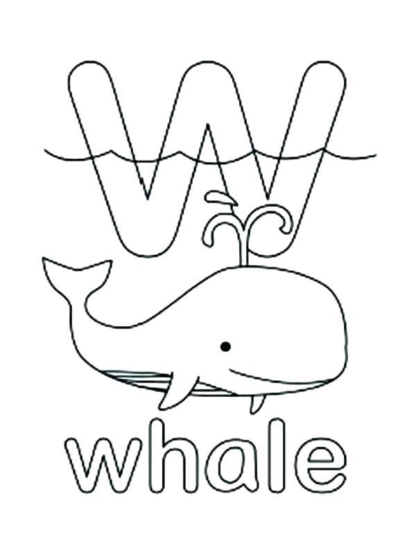 Walrus Coloring Page W Coloring Pages Walrus Coloring Pages Best 600x807 Walrus Coloring Page W Coloring Pages Walrus Coloring Pages Best