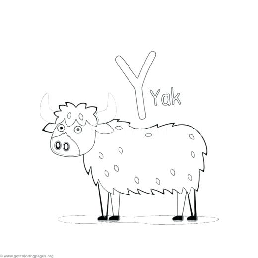 520x520 Animal Coloring Pages Animal Alphabet Letter Y Coloring Pages Free