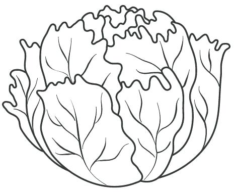 Lettuce Coloring Page at GetColorings.com | Free printable colorings ...
