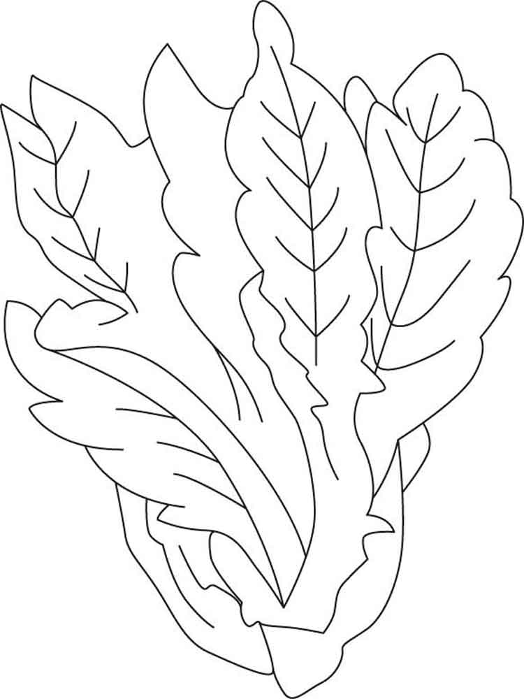750x1000 Lettuce Coloring Pages. Download And Print Lettuce Coloring Pages