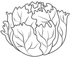 236x192 Pin By Beata Molnar On Osz Lettuce