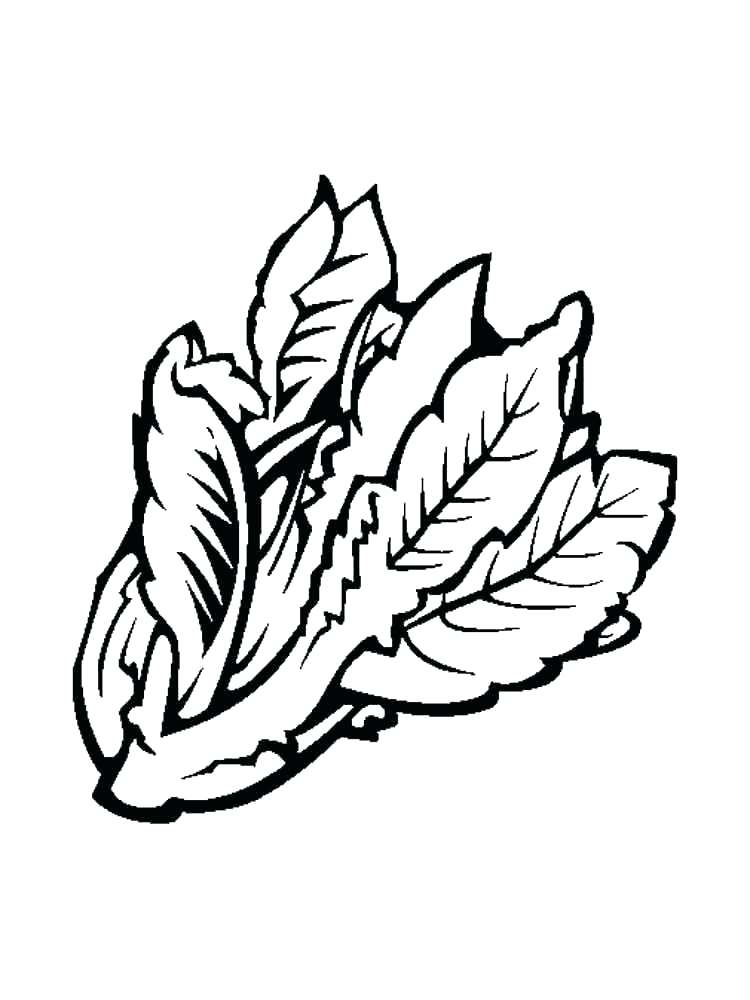 750x1000 Turnip Coloring Page Radish Coloring Pages Octonauts Tunip