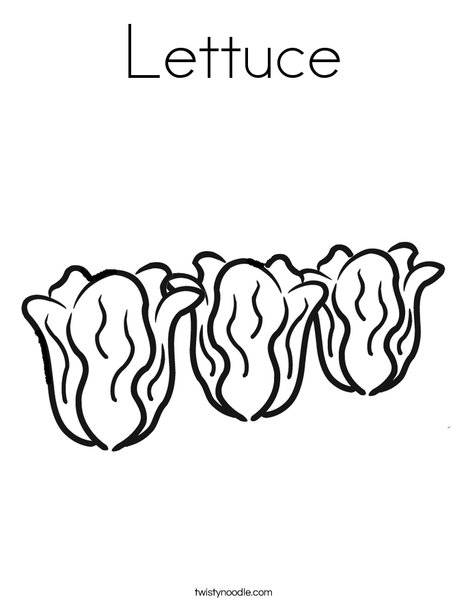 468x605 Lettuce Coloring Page