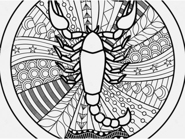 Astrology Coloring Pages Concept Zodiac Sign Scorpio Zentangle 640x480 Astrology Coloring Pages Concept Zodiac Sign Scorpio Zentangle