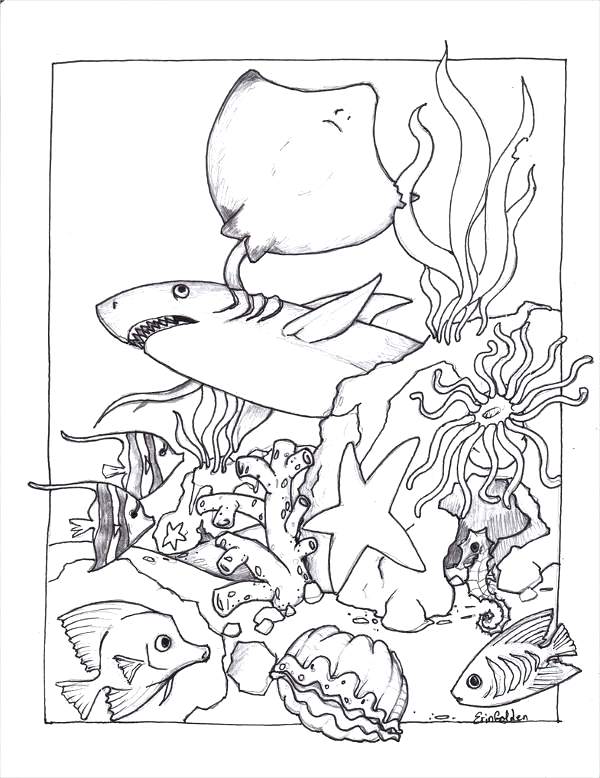Marine Life Coloring Pages Free Sea Coloring Page Marine Life 600x778 Marine Life Coloring Pages Free Sea Coloring Page Marine Life