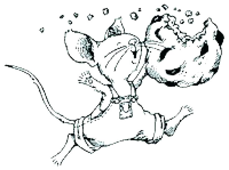 Life Cycle Coloring Pages