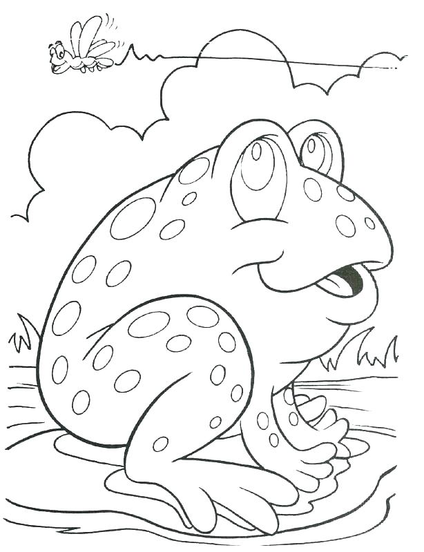 Frog Life Cycle Coloring Page Tadpole Coloring Page Best Frog Life 614x800 Frog Life Cycle Coloring Page Tadpole Coloring Page Best Frog Life