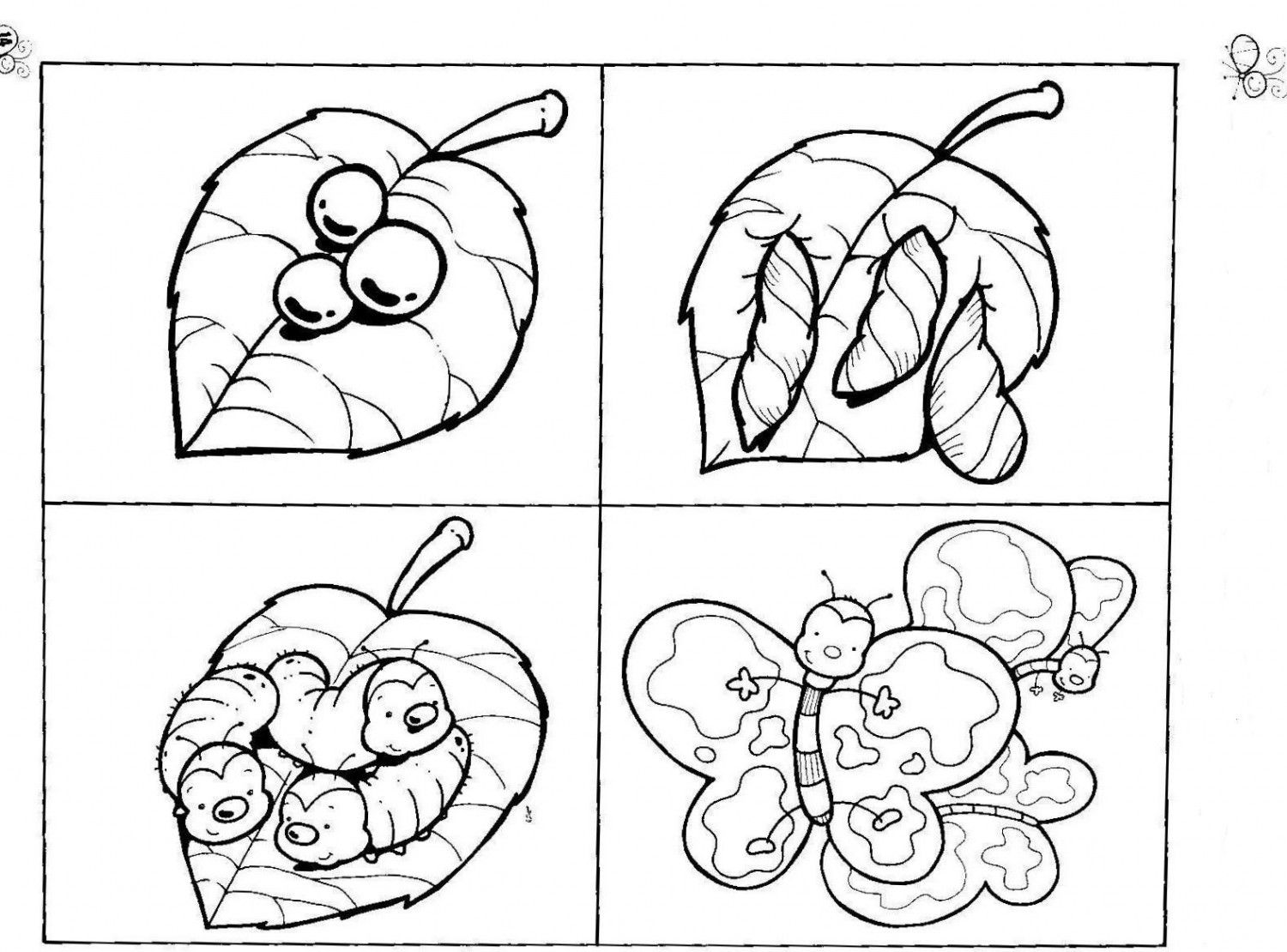 Monarch Butterfly Life Cycle Coloring Page 1500x1110 Monarch Butterfly Life Cycle Coloring Page