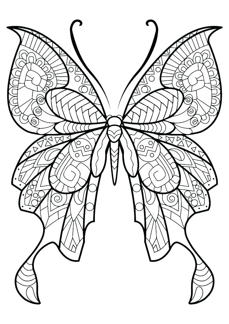Monarch Butterfly Printable Pictures Life Cycle Of A Coloring Page 736x1040 Monarch Butterfly Printable Pictures Life Cycle Of A Coloring Page