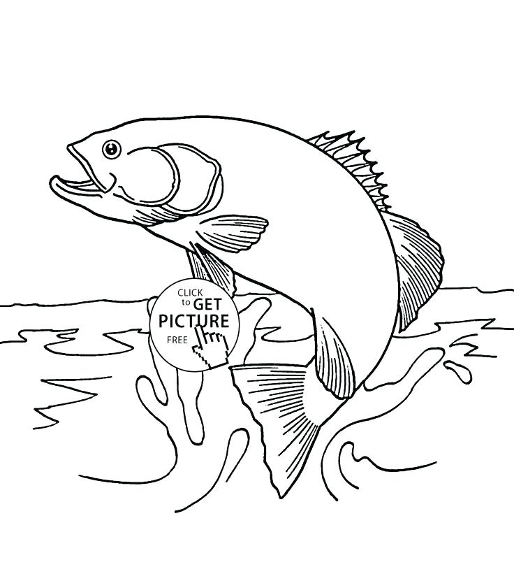 Salmon Coloring Pages Salmon Coloring Page Salmon Coloring Pages 736x811 Salmon Coloring Pages Salmon Coloring Page Salmon Coloring Pages