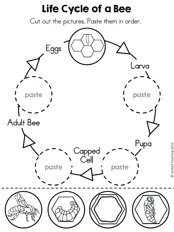Tadpole Coloring Page Life Cycle Coloring Pages Life Cycle 720x960 Tadpole Coloring Page Life Cycle Coloring Pages Life Cycle