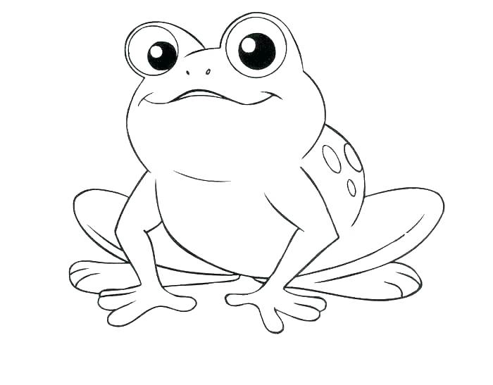 Frog Life Cycle Coloring Page 700x547 Frog Life Cycle Coloring Page
