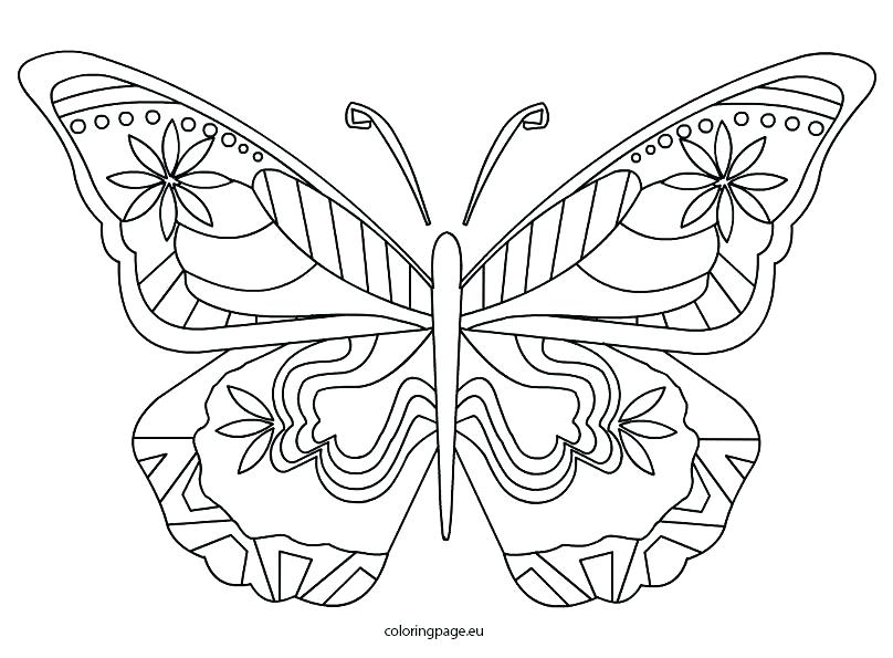 Butterfly Coloring Pages Pdf Life Cycle Of A Butterfly Coloring 808x595 Butterfly Coloring Pages Pdf Life Cycle Of A Butterfly Coloring