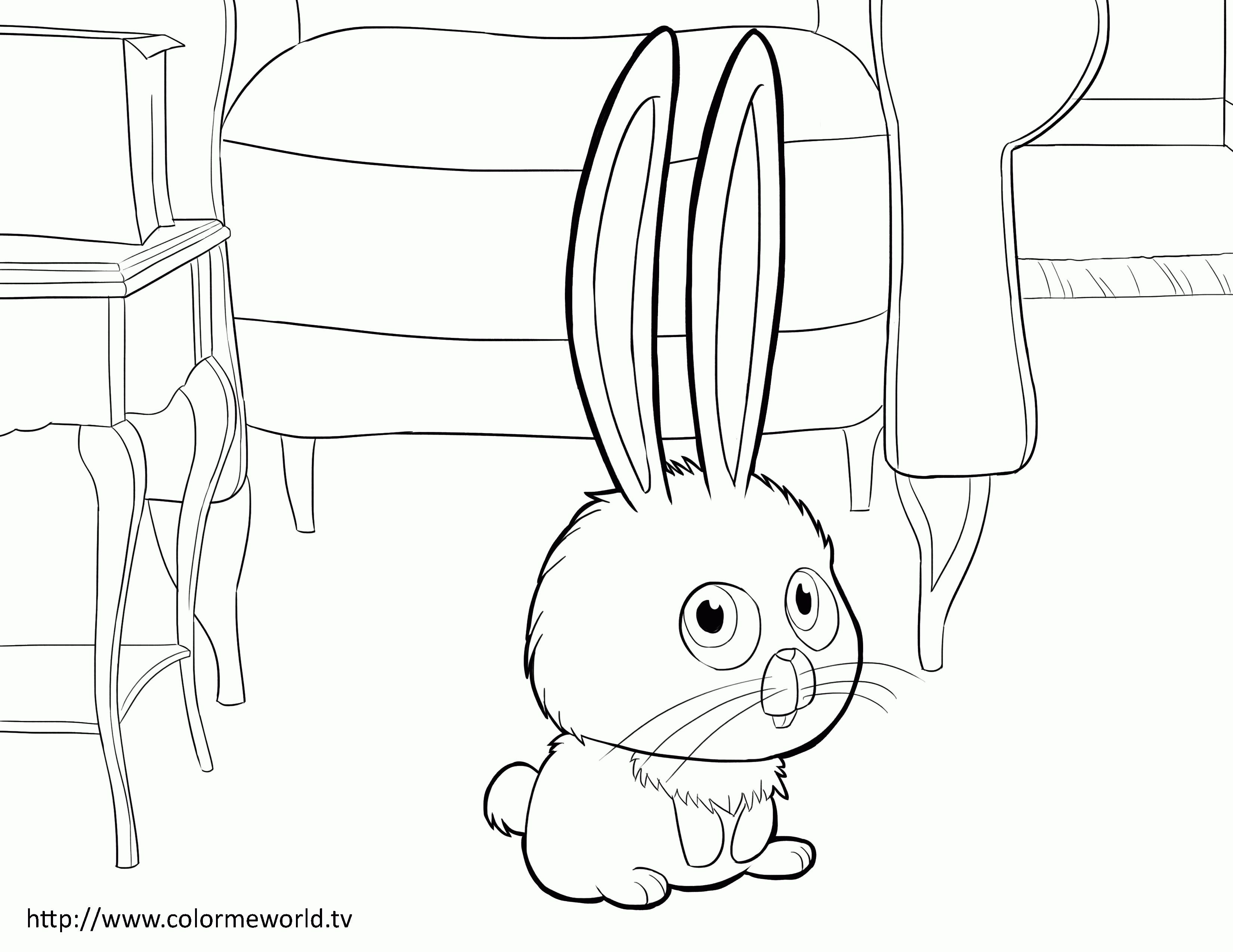 Secret Life Of Pets Coloring Pages (35).jpg Color 3300x2550 Secret Life Of Pets Coloring Pages (35).jpg Color