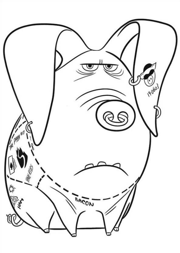 Tattoo Pig The Secret Life Of Pets Colouring Page 593x832 Tattoo Pig The Secret Life Of Pets Colouring Page