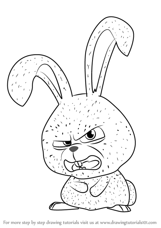 The Secret Life Of Pets Coloring Pages 301205 566x800 The Secret Life Of Pets Coloring Pages 301205