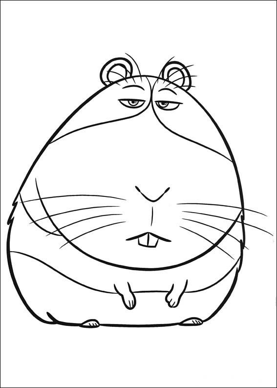 The Secret Life Of Pets Coloring Pages 10 Secret Life Of Pets 567x794 The Secret Life Of Pets Coloring Pages 10 Secret Life Of Pets