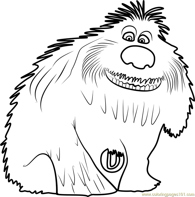 The Secret Life Of Pets Coloring Pages 791x800 The Secret Life Of Pets Coloring Pages