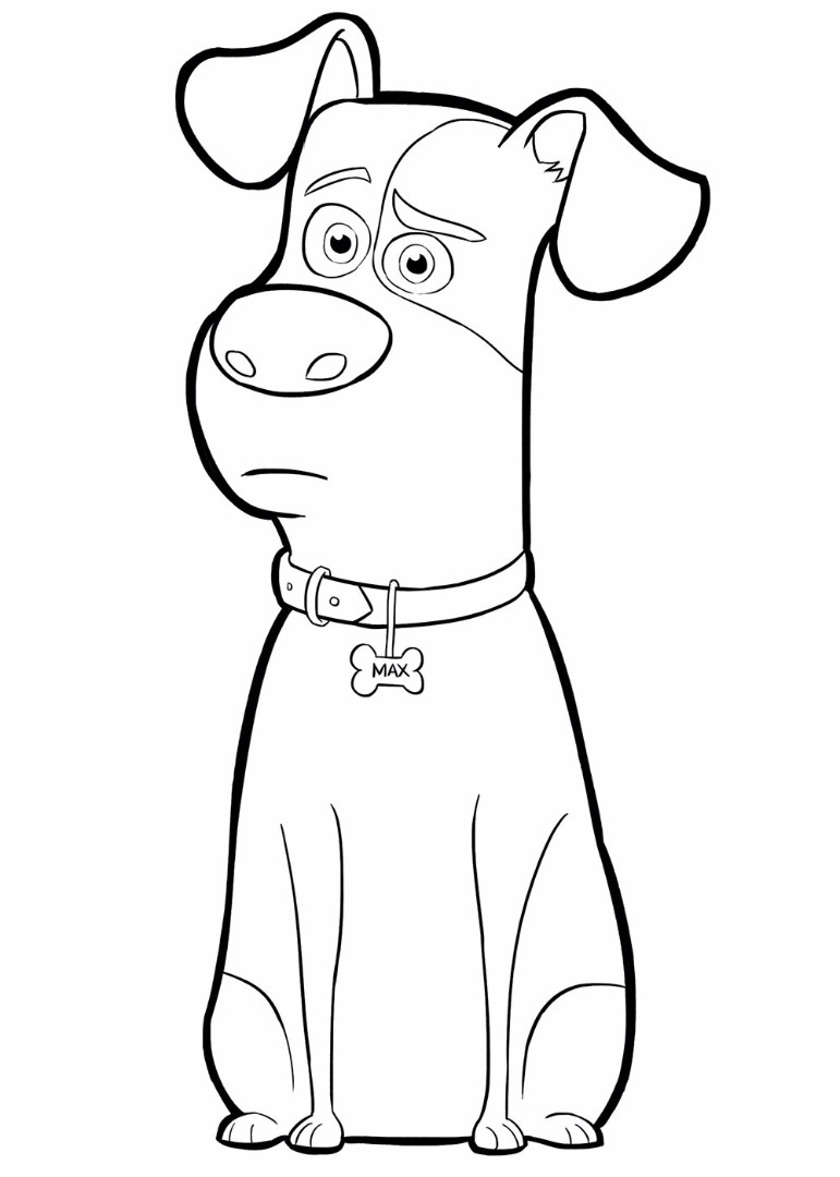 The Secret Life Of Pets Coloring Pages 771x1080 The Secret Life Of Pets Coloring Pages