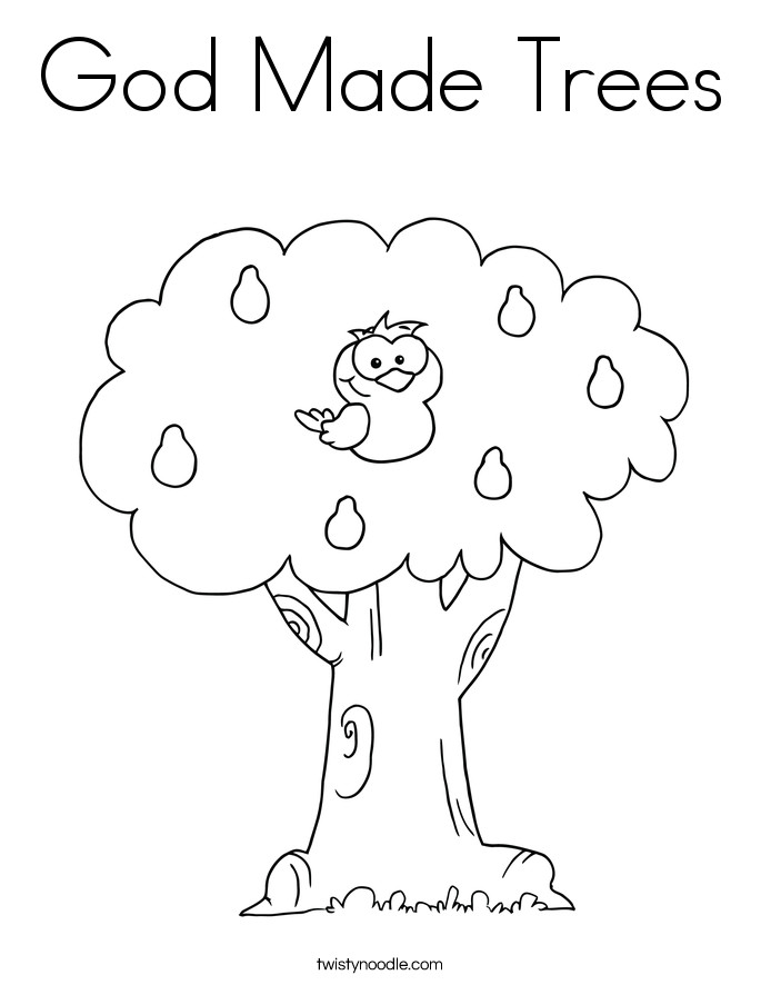 Lilac Flowers Coloring Pages Downloads And Sketches 4 685x886 Lilac Flowers Coloring Pages Downloads And Sketches 4