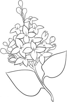 Flower Page Printable Coloring Sheets Spring Flowers2 Flower 236x357 Flower Page Printable Coloring Sheets Spring Flowers2 Flower
