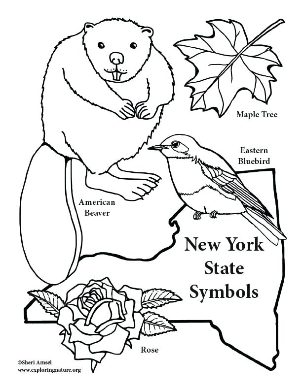 Beautiful Eastern Bluebird Coloring Page Coloring Pages 612x792 Beautiful Eastern Bluebird Coloring Page Coloring Pages