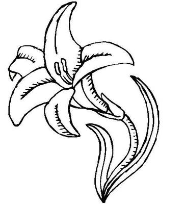 Food, Decor, Kids Lily Coloring Pages 363x400 Food, Decor, Kids Lily Coloring Pages