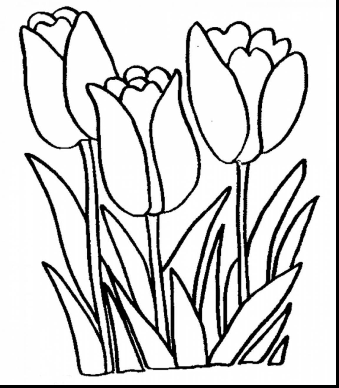 Arum Lily Coloring Pages For Kids Page Flowers Peace Frog Pad 1152x1320 Arum Lily Coloring Pages For Kids Page Flowers Peace Frog Pad