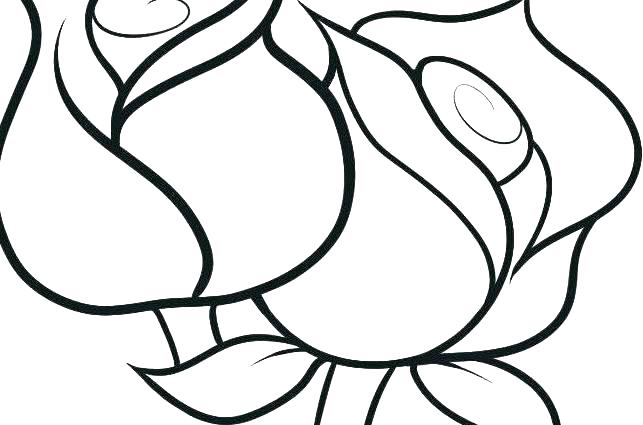 Lily Coloring Pages Water Lily Coloring Sheets Color Page Flower 643x425 Lily Coloring Pages Water Lily Coloring Sheets Color Page Flower