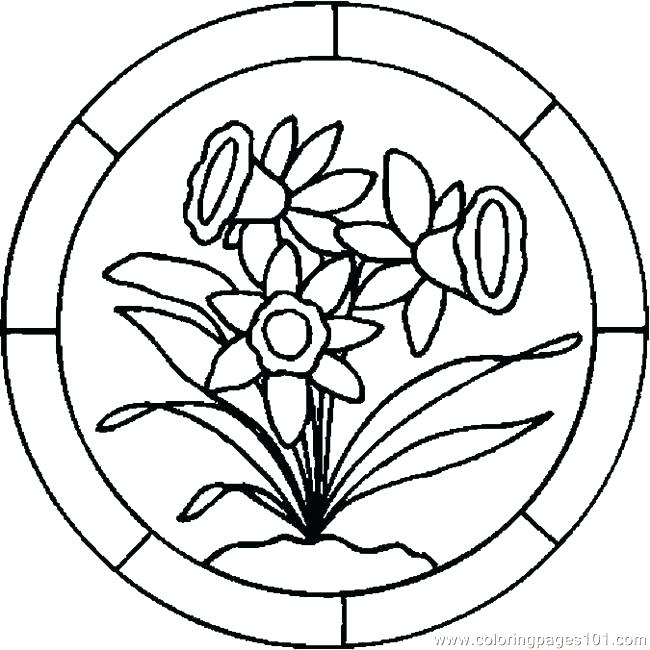 Lily Flower Coloring Pages Download And Print Lily Flower Lily 650x650 Lily Flower Coloring Pages Download And Print Lily Flower Lily