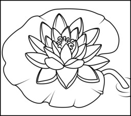 Water Lily 256x226 Water Lily